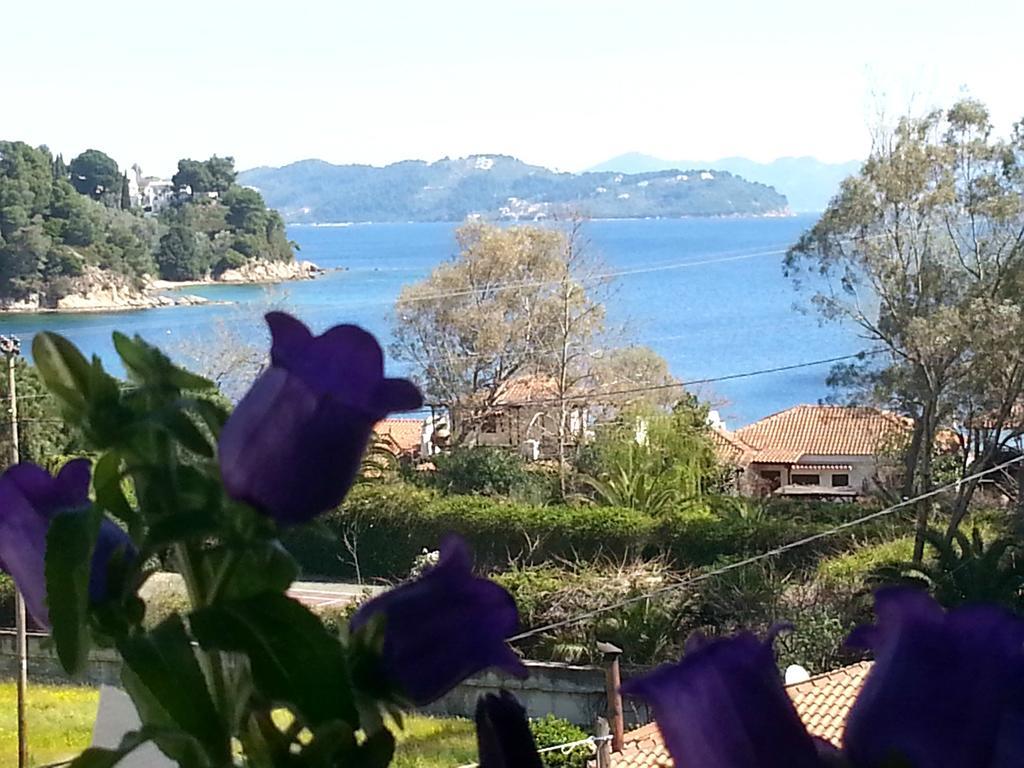 Tzaneria Apartments Skiathos Kanapitsa  Exterior photo